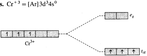 Maharashtra Board Solutions Class 12 Chemistry: Chapter 9- Coordination Compound Question 3.x