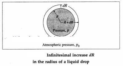 Maharashtra Board Solutions Class 12 Physics: Chapter 2- Mechanical Properties of Fluids Question 6