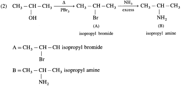 Maharashtra Board Solutions Class 12 Chemistry: Chapter 10- Halogen Derivatives Question 7.ii