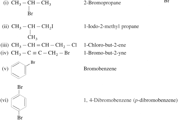 Maharashtra Board Solutions Class 12 Chemistry: Chapter 10- Halogen Derivatives Question 1