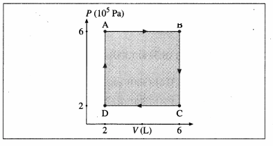 Maharashtra Board Solutions Class 12 Physics: Chapter 4- Thermodynamics Question 12