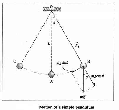 Maharashtra Board Solutions Class 12 Physics: Chapter 5- Oscillations Question 2