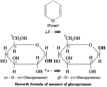 Maharashtra Board Solutions Class 12 Chemistry: Chapter 14- Biomolecules