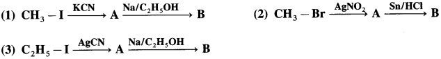 Maharashtra Board Solutions Class 12 Chemistry: Chapter 13- Amines Question 1