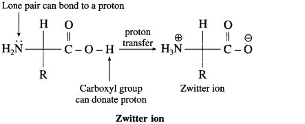 Maharashtra Board Solutions Class 12 Chemistry: Chapter 14- Biomolecules