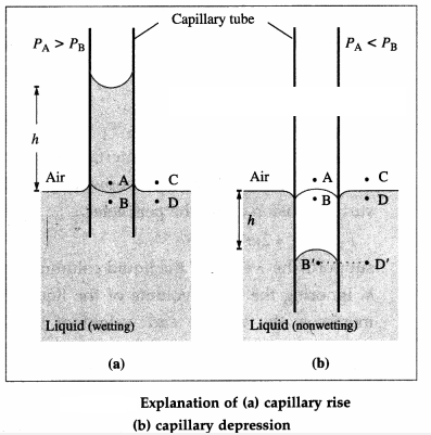 Maharashtra Board Solutions Class 12 Physics: Chapter 2- Mechanical Properties of Fluids Question 8