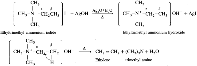 Maharashtra Board Solutions Class 12 Chemistry: Chapter 13- Amines Question