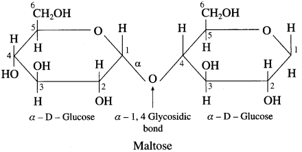 Maharashtra Board Solutions Class 12 Chemistry: Chapter 14- Biomolecules