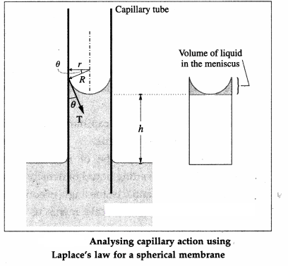 Maharashtra Board Solutions Class 12 Physics: Chapter 2- Mechanical Properties of Fluids Question 9