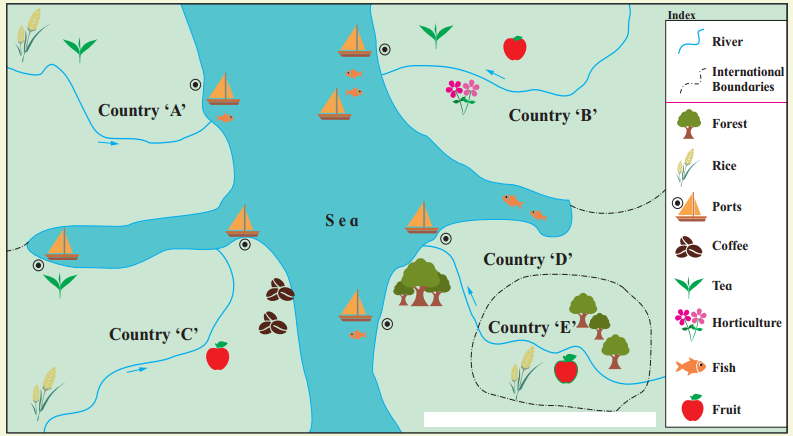 Maharashtra Board Solutions Class 12-Geography: Chapter 6- Tertiary Economic Activities 9