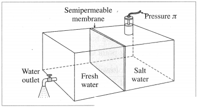 Maharashtra Board Solutions Class 12 Chemistry: Chapter 2- Solutions Question 3.v