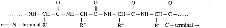 Maharashtra Board Solutions Class 12 Chemistry: Chapter 14- Biomolecules