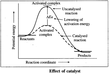 Maharashtra Board Solutions Class 12 Chemistry: Chapter 6- Chemical Kinetics Question 3.viii