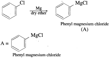 Maharashtra Board Solutions Class 12 Chemistry: Chapter 10- Halogen Derivatives Question 2.v