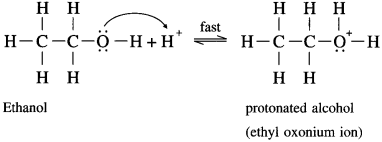 Maharashtra Board Solutions Class 12 Chemistry: Chapter 11- Alcohols, Phenols and Ethers Question 11.6