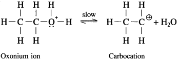 Maharashtra Board Solutions Class 12 Chemistry: Chapter 11- Alcohols, Phenols and Ethers Question 11.6