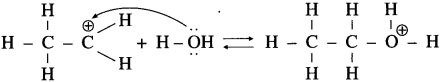 Maharashtra Board Solutions Class 12 Chemistry: Chapter 11- Alcohols, Phenols and Ethers Question 1