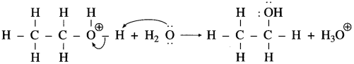 Maharashtra Board Solutions Class 12 Chemistry: Chapter 11- Alcohols, Phenols and Ethers Question 1