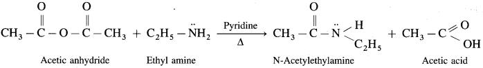 Maharashtra Board Solutions Class 12 Chemistry: Chapter 13- Amines Question 3.v