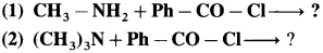 Maharashtra Board Solutions Class 12 Chemistry: Chapter 13- Amines Question