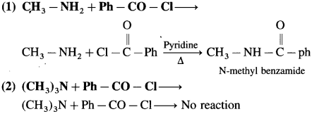 Maharashtra Board Solutions Class 12 Chemistry: Chapter 13- Amines Question
