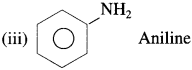 Maharashtra Board Solutions Class 12 Chemistry: Chapter 13- Amines Question 4.ii