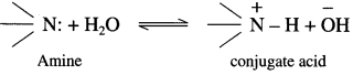 Maharashtra Board Solutions Class 12 Chemistry: Chapter 13- Amines Question 3.ii