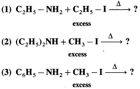 Maharashtra Board Solutions Class 12 Chemistry: Chapter 13- Amines Question 1