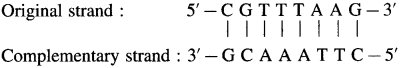 Maharashtra Board Solutions Class 12 Chemistry: Chapter 14- Biomolecules