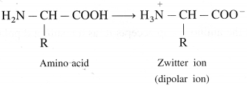 Maharashtra Board Solutions Class 12 Chemistry: Chapter 14- Biomolecules