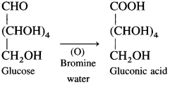 Maharashtra Board Solutions Class 12 Chemistry: Chapter 14- Biomolecules