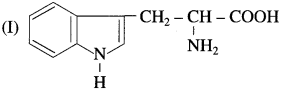 Maharashtra Board Solutions Class 12 Chemistry: Chapter 14- Biomolecules