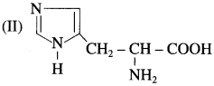 Maharashtra Board Solutions Class 12 Chemistry: Chapter 14- Biomolecules