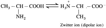 Maharashtra Board Solutions Class 12 Chemistry: Chapter 14- Biomolecules