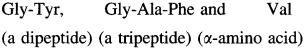 Maharashtra Board Solutions Class 12 Chemistry: Chapter 14- Biomolecules