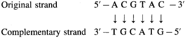 Maharashtra Board Solutions Class 12 Chemistry: Chapter 14- Biomolecules