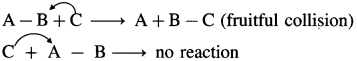 Maharashtra Board Solutions Class 12 Chemistry: Chapter 6- Chemical Kinetics Question 2.iv