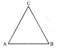 RS Aggarwal Solutions for Class 6 Maths Chapter 11–Line Segment, Ray and Line Ex 11A Question 6