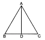 RS Aggarwal Solutions for Class 6 Maths Chapter 11–Line Segment, Ray and Line Ex 11A Question 7