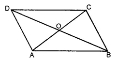 RS Aggarwal Solutions for Class 6 Maths Chapter 11–Line Segment, Ray and Line Ex 11A Question 7