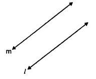 RS Aggarwal Solutions for Class 6 Maths Chapter 12–Parallel Lines Question 4