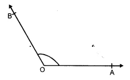 RS Aggarwal Solutions for Class 6 Maths Chapter 13–Angles and Their Measurement Ex 13B Question 5