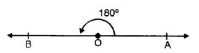 RS Aggarwal Solutions for Class 6 Maths Chapter 13–Angles and Their Measurement Ex 13C Question 2
