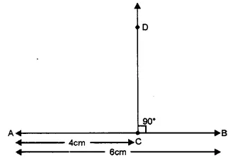 RS Aggarwal Solutions for Class 6 Maths Chapter 13–Angles and Their Measurement Ex 13C Question 4
