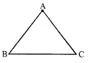 RS Aggarwal Solutions for Class 6 Maths Chapter 16–Triangles Ex 16A Question 1