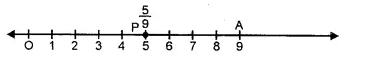 RS Aggarwal Solutions for Class 6 Maths Chapter 5–Fractions Ex 5A Question 13
