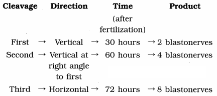 Maharashtra Board Solutions Class 12 Biology: Chapter 2- Reproduction in Lower and Higher Animals Question 4