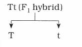 Maharashtra Board Solutions Class 12 Biology: Chapter 3- Inheritance and Variation Question 3.2