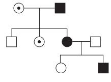 Maharashtra Board Solutions Class 12 Biology: Chapter 3- Inheritance and Variation Question 3.10