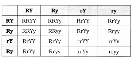 Maharashtra Board Solutions Class 12 Biology: Chapter 3- Inheritance and Variation Question 5.1